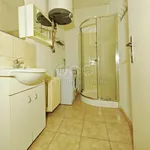 Rent 2 bedroom apartment in Domažlice