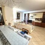 Rent 1 bedroom apartment of 150 m² in legnaro