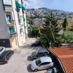 Affitto 3 camera appartamento di 73 m² in Trieste