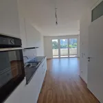 Rent 2 bedroom apartment of 49 m² in Graz