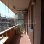 Affitto 4 camera appartamento di 80 m² in Pisa