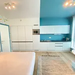 Rent 1 bedroom apartment in Antwerpen