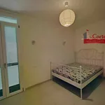 Rent 3 bedroom apartment of 70 m² in Paderno Dugnano