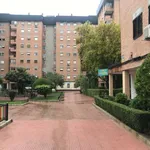 Rent a room of 110 m² in alcala_de_henares