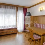 Rent 2 bedroom apartment of 65 m² in Cortina d'Ampezzo