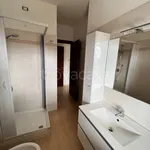 Rent 3 bedroom apartment of 80 m² in Pomezia