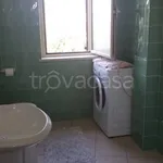 Rent 2 bedroom apartment of 50 m² in Frosinone