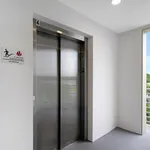 Rent 1 bedroom apartment of 79 m² in Sarasota