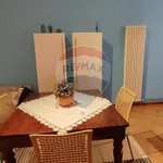 Rent 2 bedroom apartment of 75 m² in Mantua