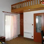 Rent 1 bedroom apartment of 20 m² in Příbor