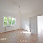 Rent 2 bedroom apartment of 80 m² in Tábor