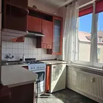 Rent 2 bedroom apartment of 50 m² in Toruń