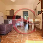 2-room flat excellent condition, ground floor, Gorgonzola