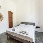 Rent 2 bedroom apartment of 50 m² in Florence