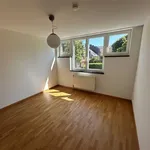 Maison de 250 m² avec 5 chambre(s) en location à LOUVAIN-LA-NEUVE