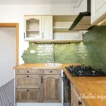 Rent 3 bedroom apartment of 68 m² in Prague