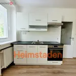 Rent 1 bedroom apartment of 29 m² in Havířov