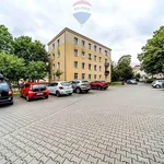 Rent 1 bedroom apartment of 32 m² in Poznan