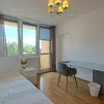 Rent 3 bedroom apartment of 65 m² in Warszawa