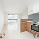 Rent 2 bedroom apartment of 55 m² in Pilsen