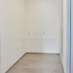 Pronajměte si 3 ložnic/e byt o rozloze 55 m² v Praha