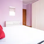 Rent 3 bedroom apartment of 75 m² in Pisa