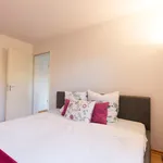 Rent 2 bedroom apartment of 58 m² in München