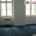 Rent 2 bedroom apartment of 76 m² in Plzeň