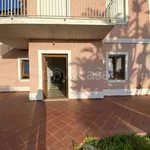 Rent 7 bedroom house of 200 m² in Forio