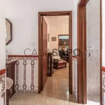 Rent 1 bedroom house of 132 m² in Évora