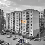 Pronajměte si 2 ložnic/e byt o rozloze 40 m² v Česká Lípa