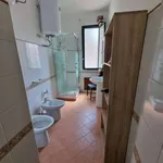 Appartamento arredato con terrazzo Centro