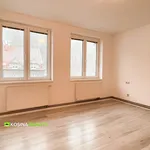 Rent 2 bedroom apartment in Sokolov