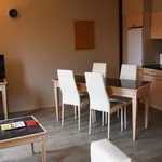 Huur 1 slaapkamer appartement van 40 m² in Antwerp