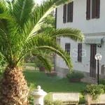 Rent 3 bedroom apartment of 60 m² in Campagnatico