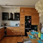 Rent 2 bedroom apartment of 100 m² in Budapest