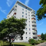 Rent 2 bedroom apartment of 58 m² in Gelsenkirchen