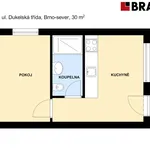 Rent 1 bedroom apartment of 30 m² in Brno