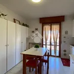 Rent 2 bedroom apartment of 40 m² in Cervia