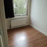 Huur 1 slaapkamer appartement van 28 m² in Bezuidenhout-Oost