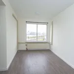 Huur 3 slaapkamer appartement van 99 m² in Struisenburg