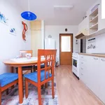 Rent 2 bedroom apartment of 51 m² in Žďár nad Sázavou