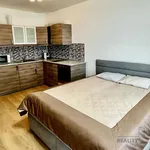 Rent 1 bedroom apartment in Capital City of Prague