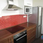 Rent 2 bedroom apartment of 47 m² in Pilsen