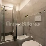 Rent 1 bedroom apartment of 28 m² in Turin