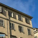 Rent 2 bedroom apartment of 45 m² in Turin