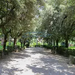 Rent 1 bedroom house of 110 m² in Rome