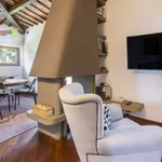 Rent 1 bedroom apartment of 70 m² in florence