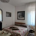 Appartamento arredato con terrazzo Centro