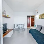 Rent 1 bedroom apartment in lisbon